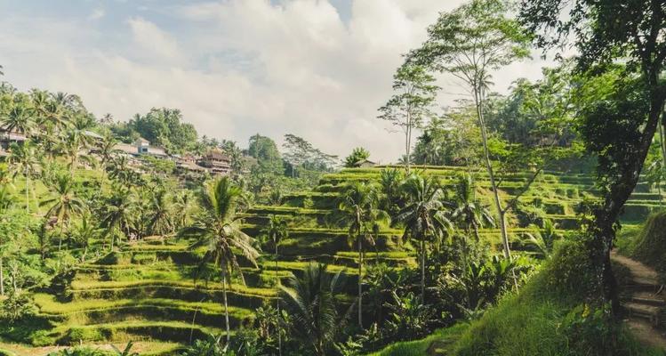 以妙计旅行，如何玩得尽兴（解密旅行中的妙招，让你轻松享受每个目的地）