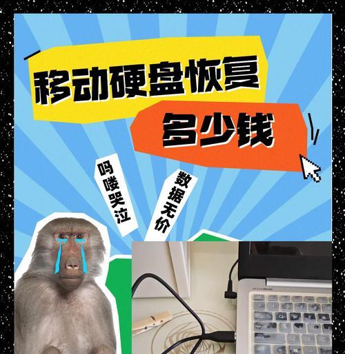 移动硬盘损坏数据恢复技巧（教你如何自行恢复损坏的移动硬盘数据）