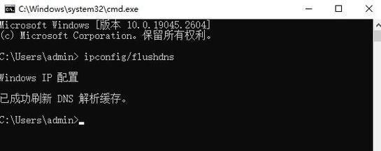 电脑连上网的DNS配置错误如何解决（探索DNS配置错误的原因和解决方法）