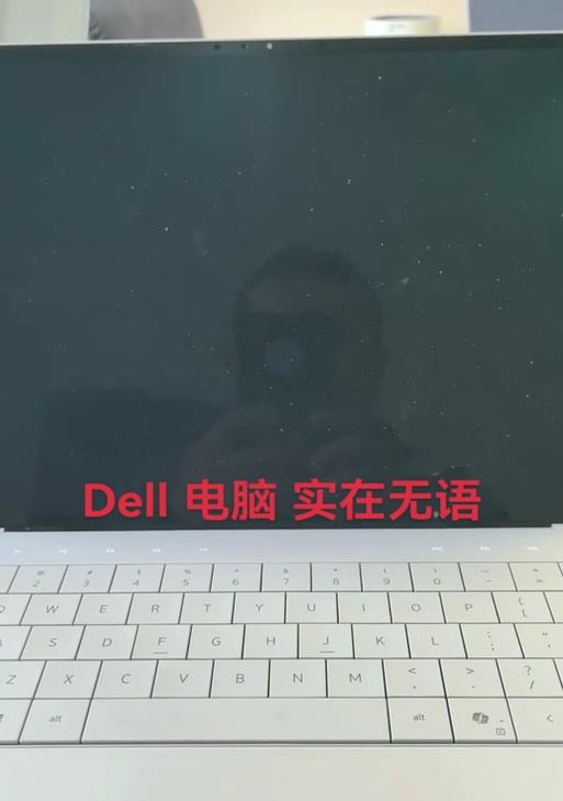戴尔电脑显示驱动器错误解决方案（戴尔电脑显示驱动器错误的原因及解决办法）