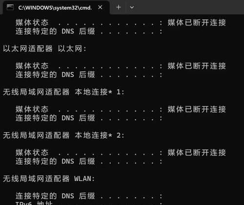 解决电脑连网显示IP地址错误的方法（一步步教你如何处理IP地址错误问题）